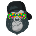 andrew.rodgers@gmail.com