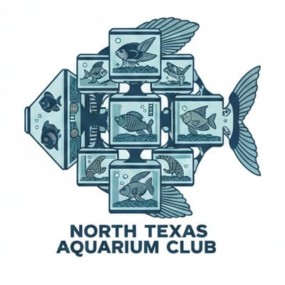 North-Texas-Aquarium-Club